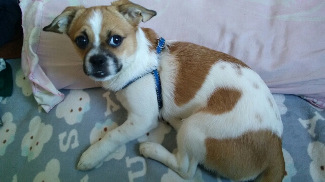 鿴ͼƬ