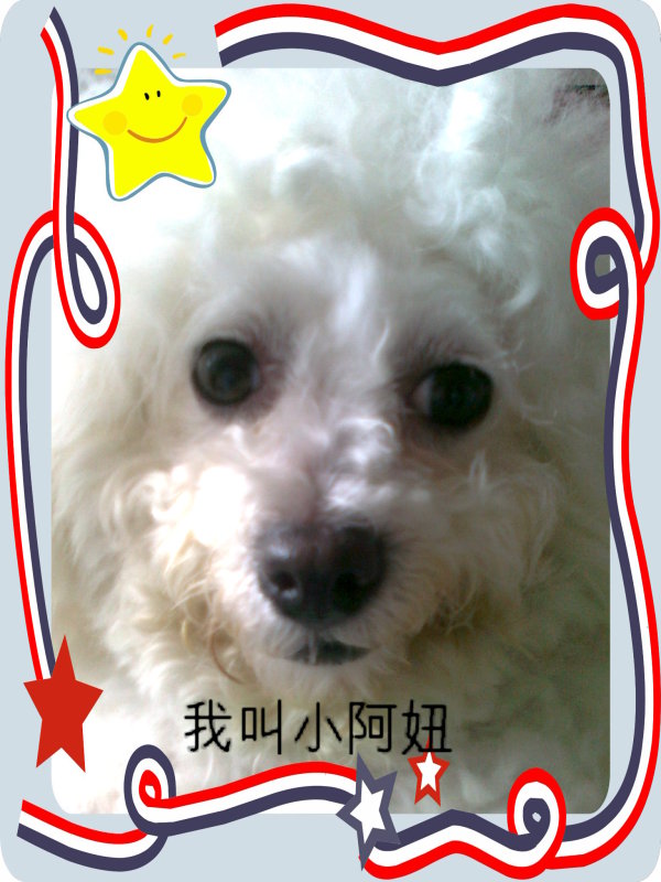 鿴ͼƬ