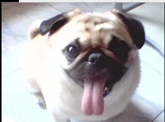 鿴ͼƬ