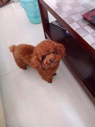 鿴ͼƬ