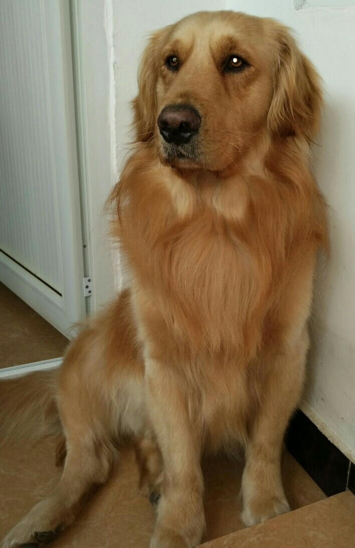 鿴ͼƬ