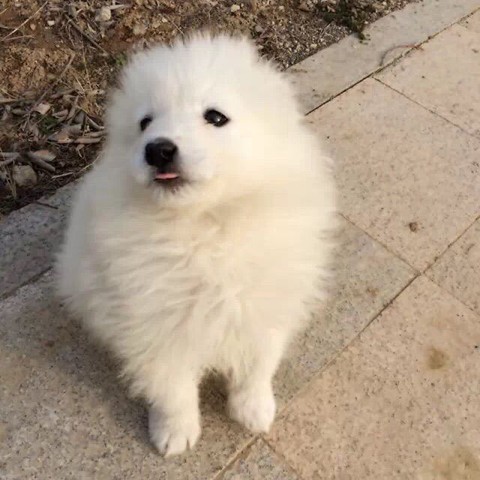 鿴ͼƬ