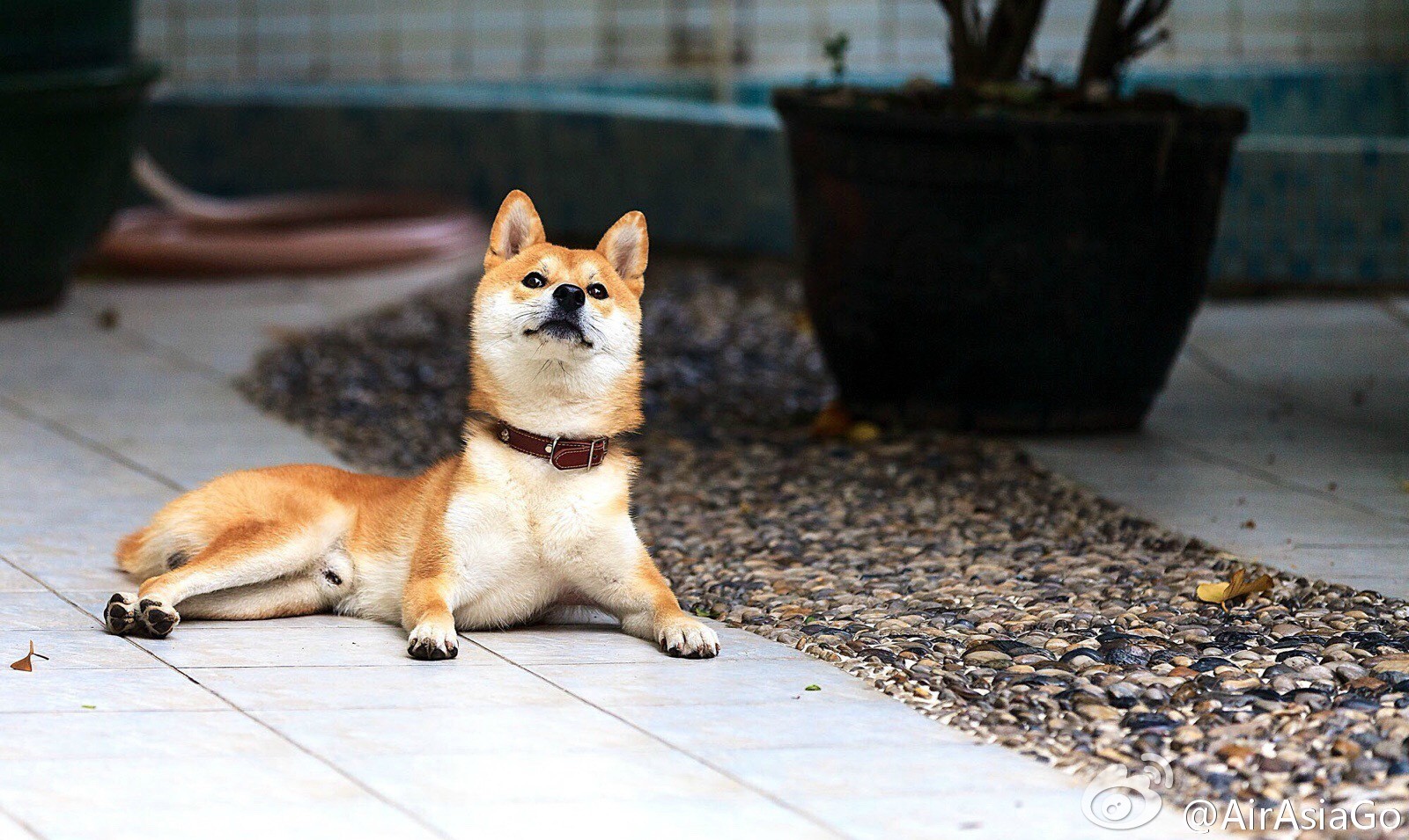 鿴ͼƬ