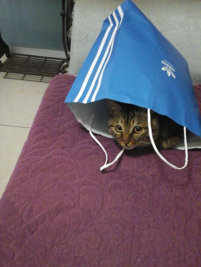 鿴ͼƬ