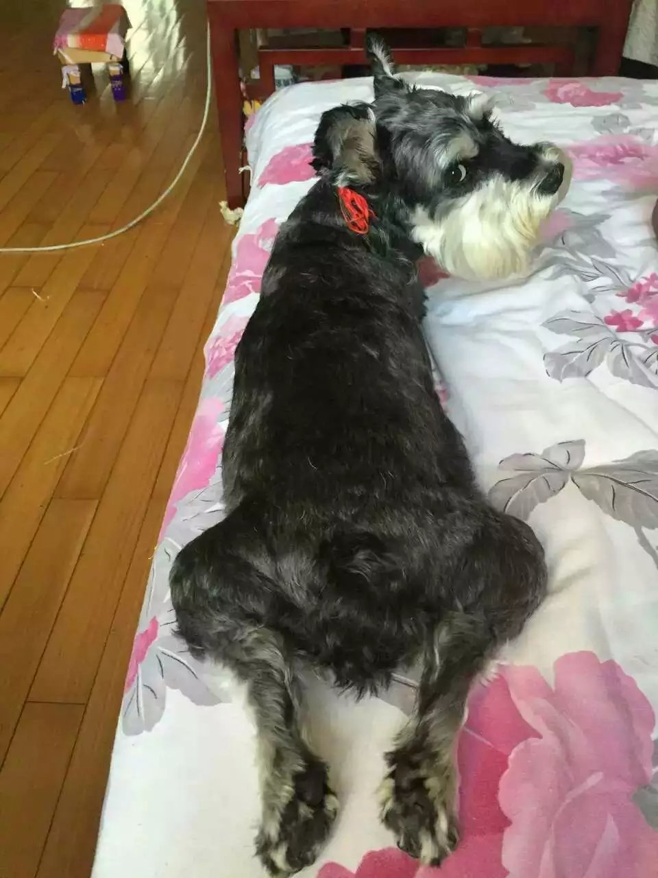 鿴ͼƬ