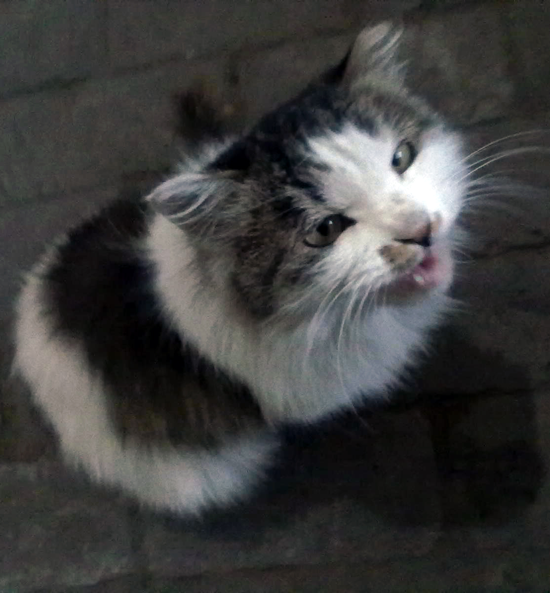 鿴ͼƬ