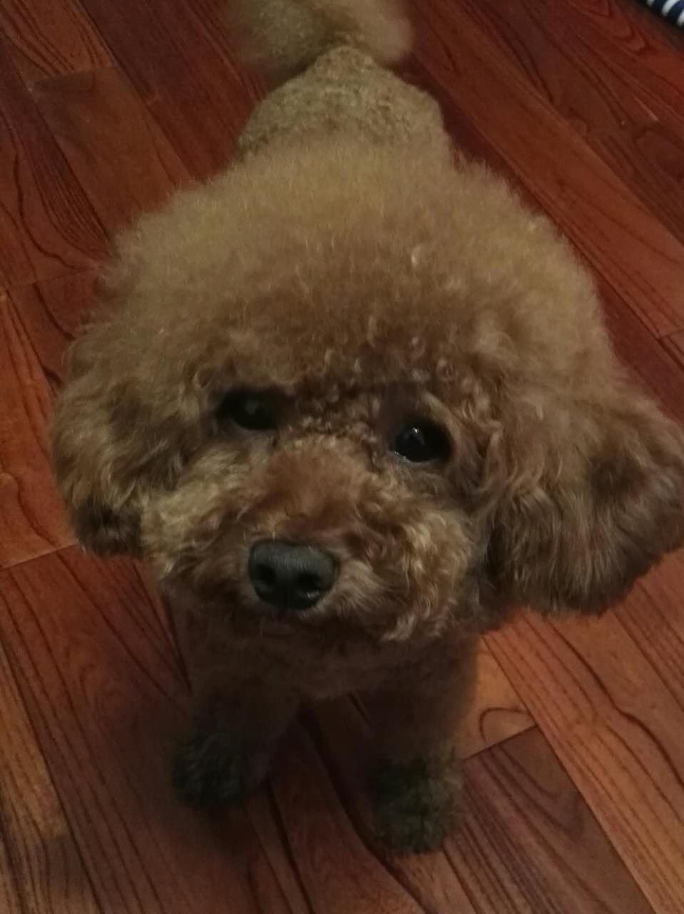 鿴ͼƬ