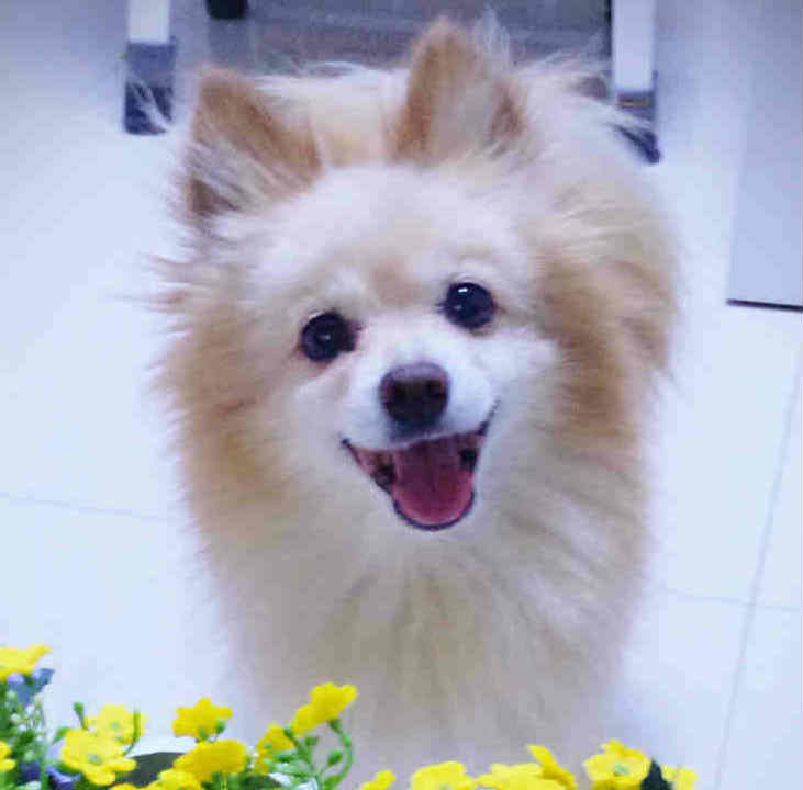 鿴ͼƬ