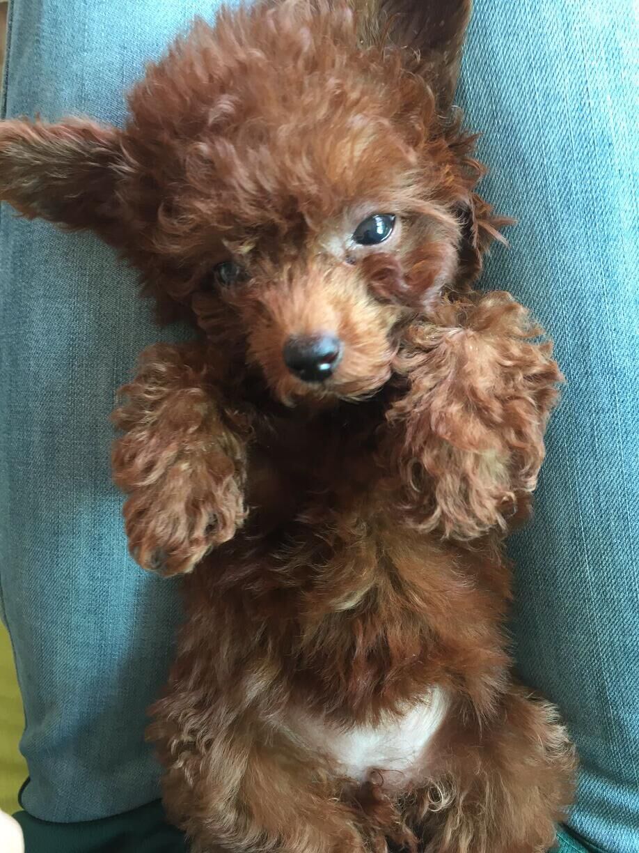 鿴ͼƬ