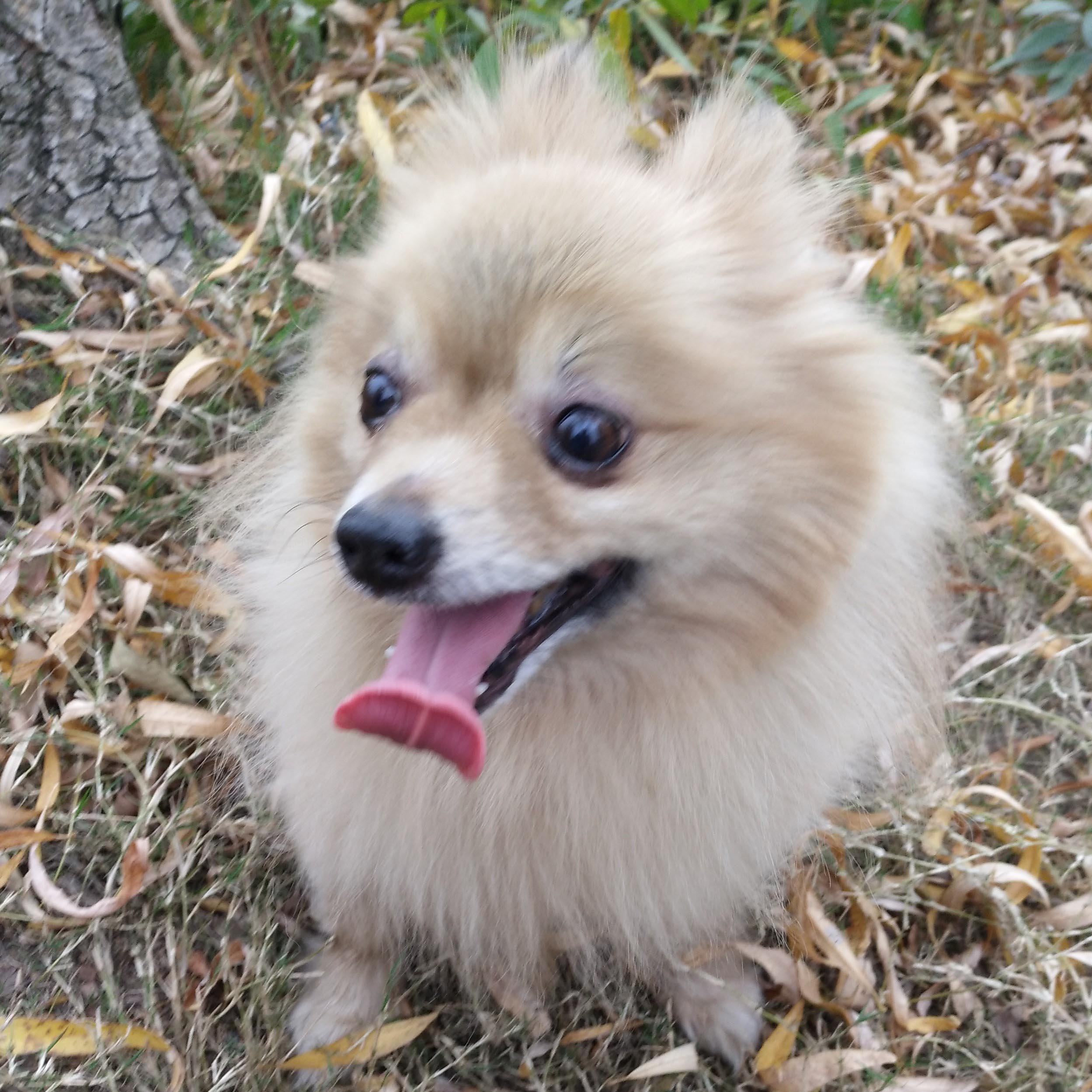 鿴ͼƬ