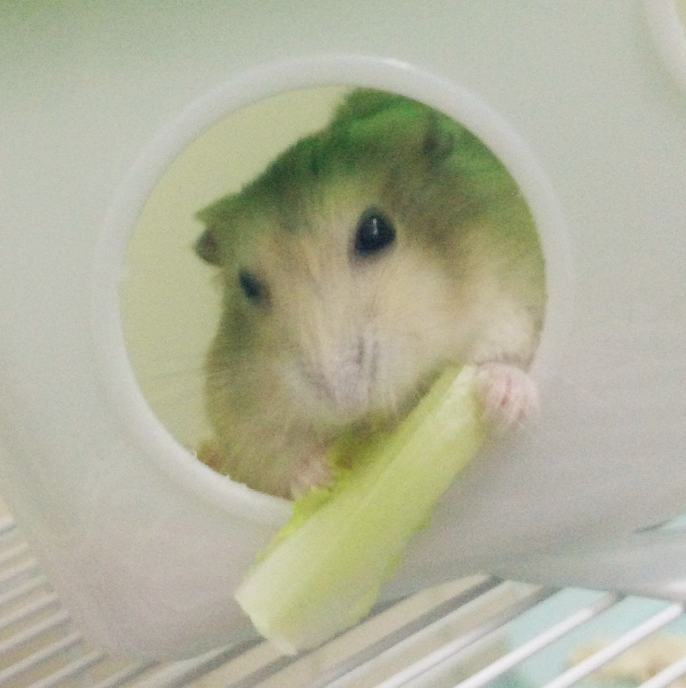 鿴ͼƬ