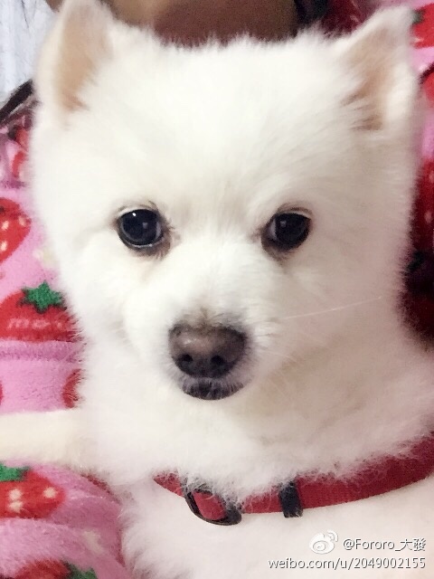 鿴ͼƬ