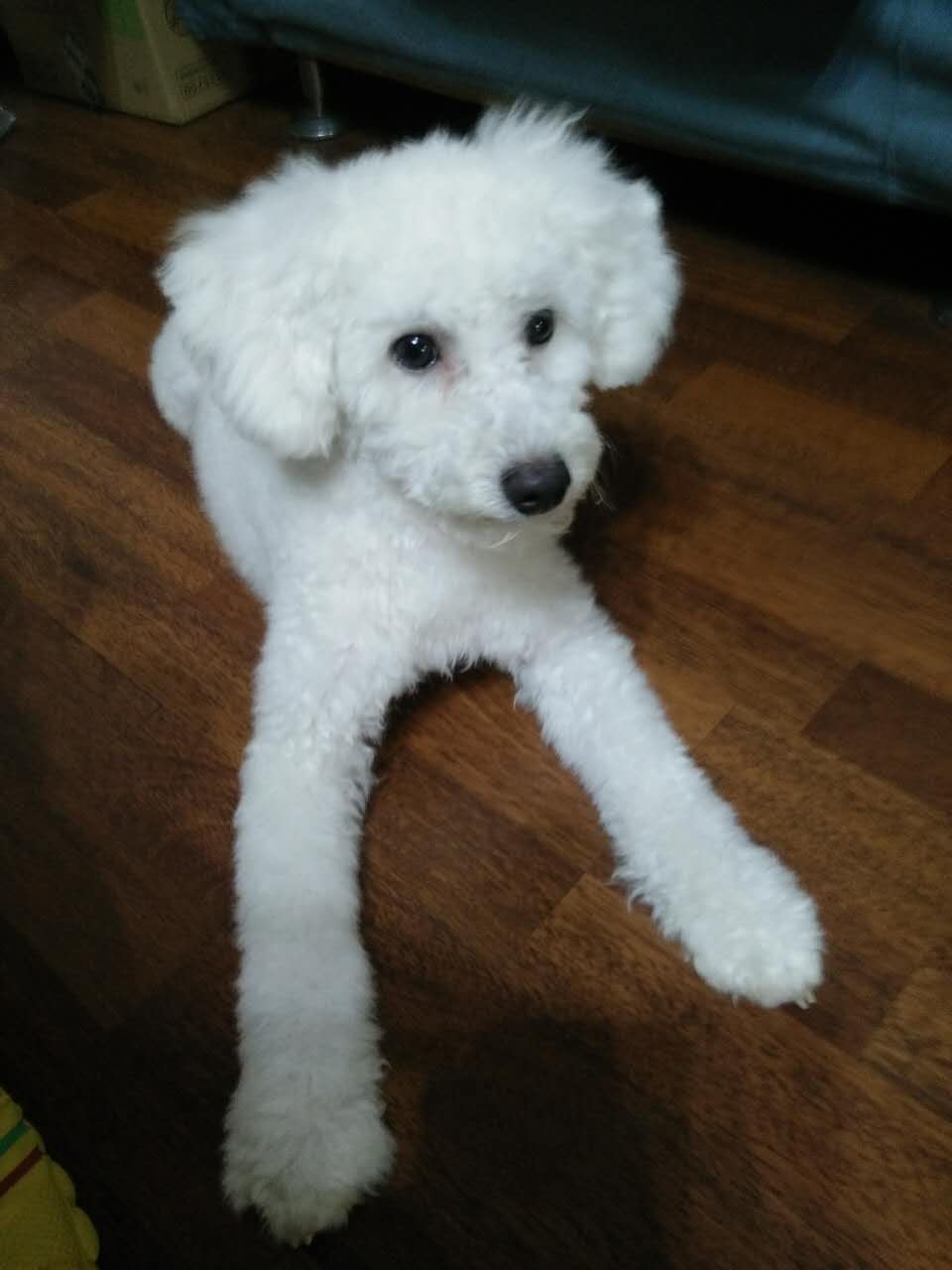 鿴ͼƬ