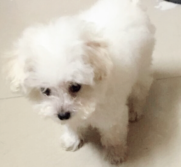 鿴ͼƬ