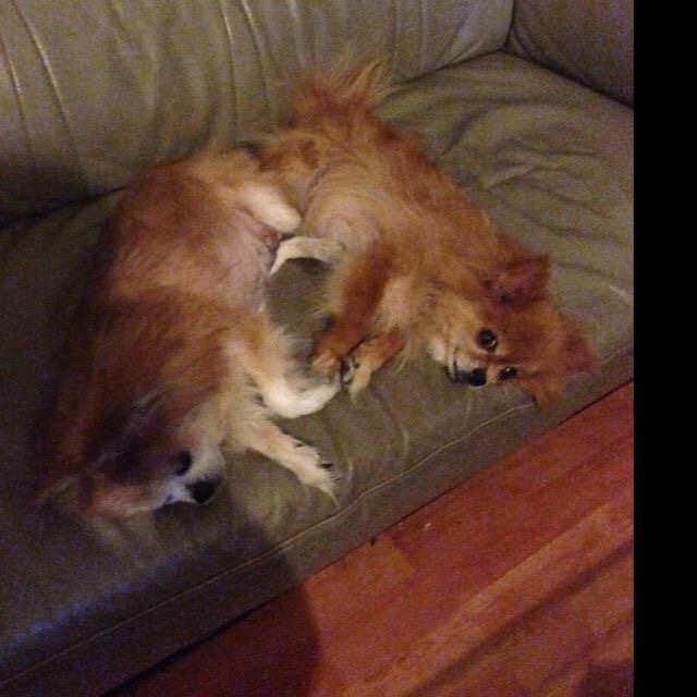 鿴ͼƬ