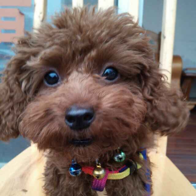 鿴ͼƬ