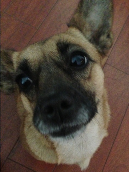 鿴ͼƬ