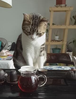 鿴ͼƬ