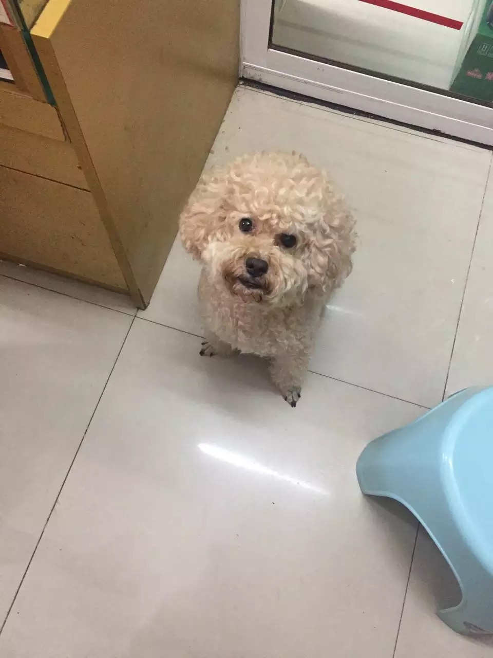鿴ͼƬ