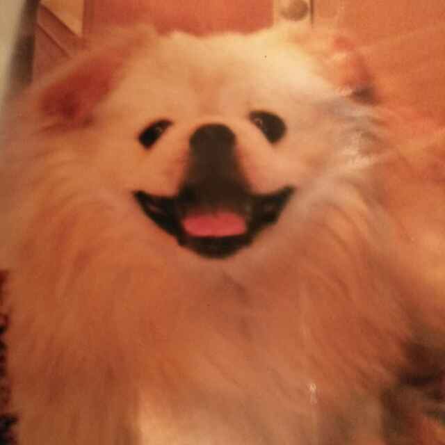 鿴ͼƬ