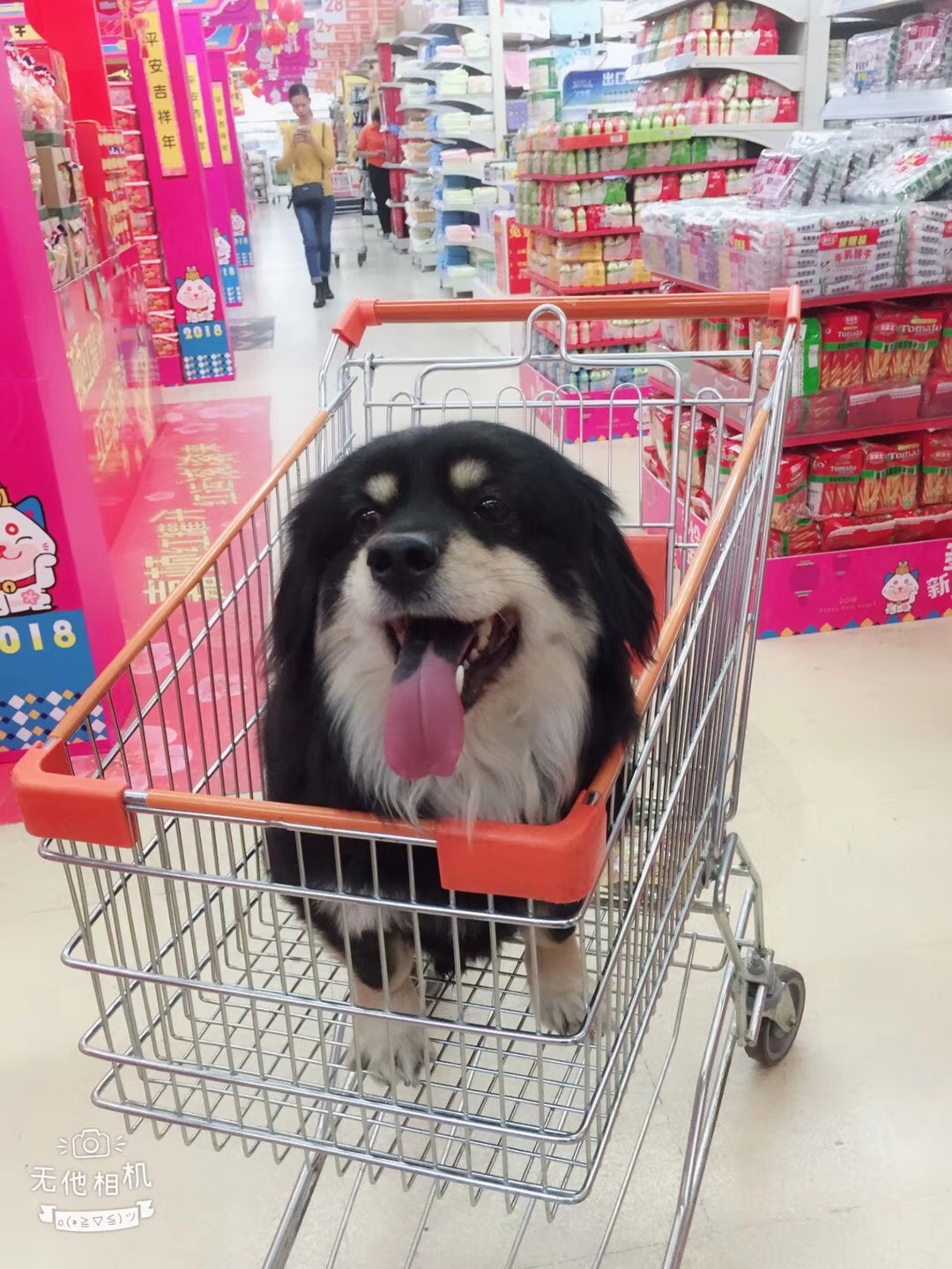 鿴ͼƬ