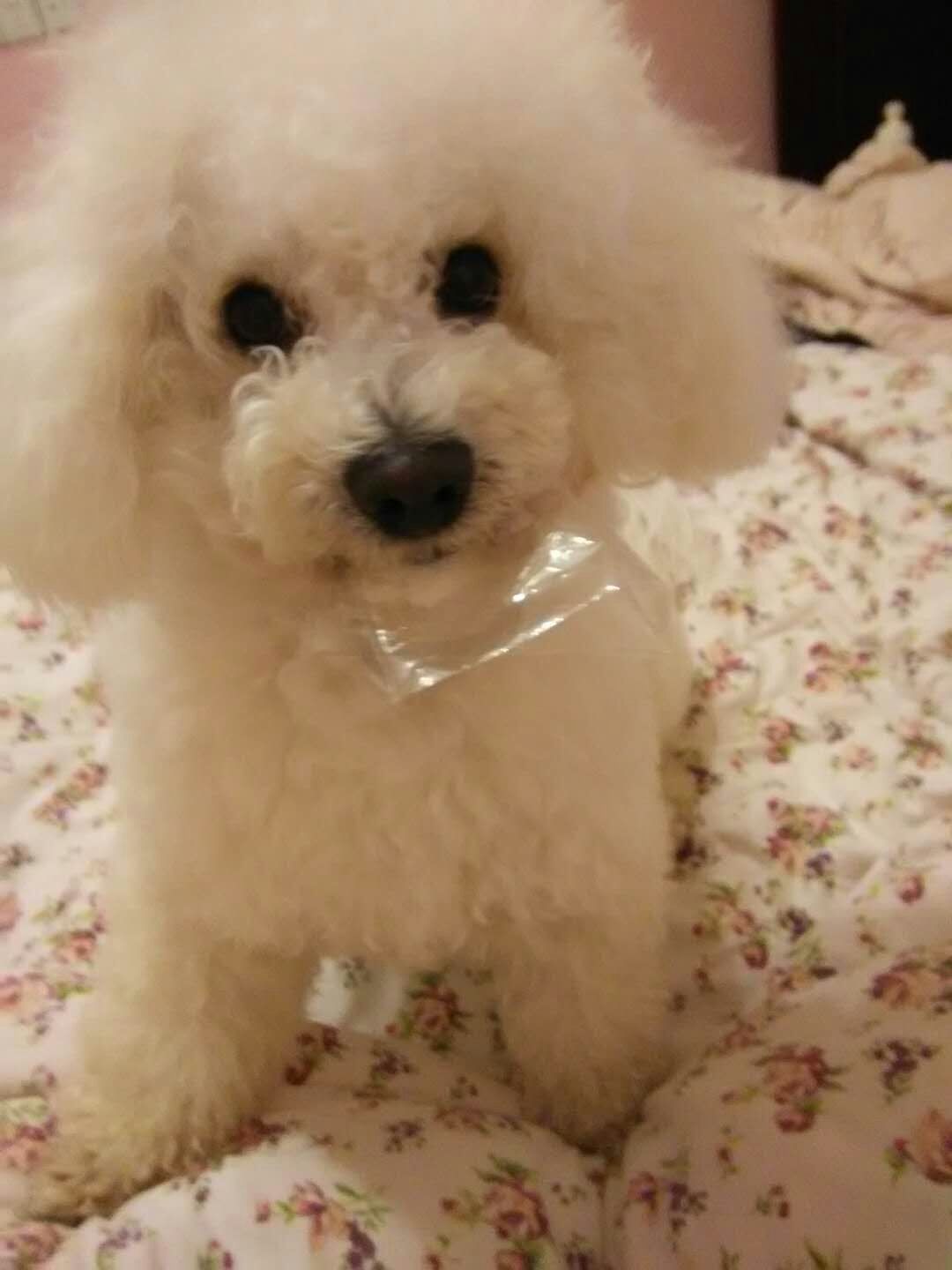 鿴ͼƬ