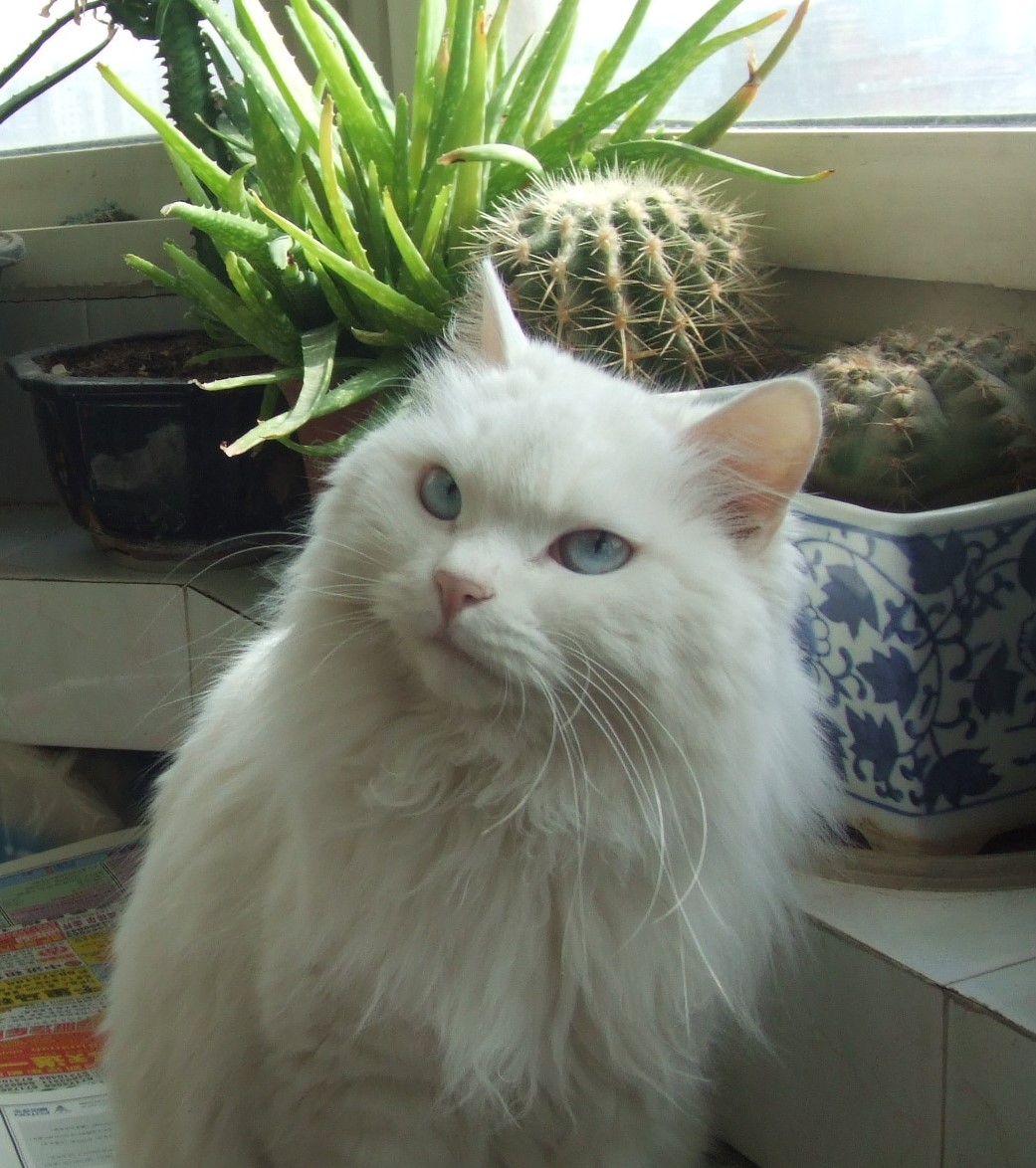 鿴ͼƬ