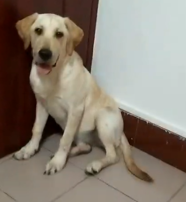鿴ͼƬ
