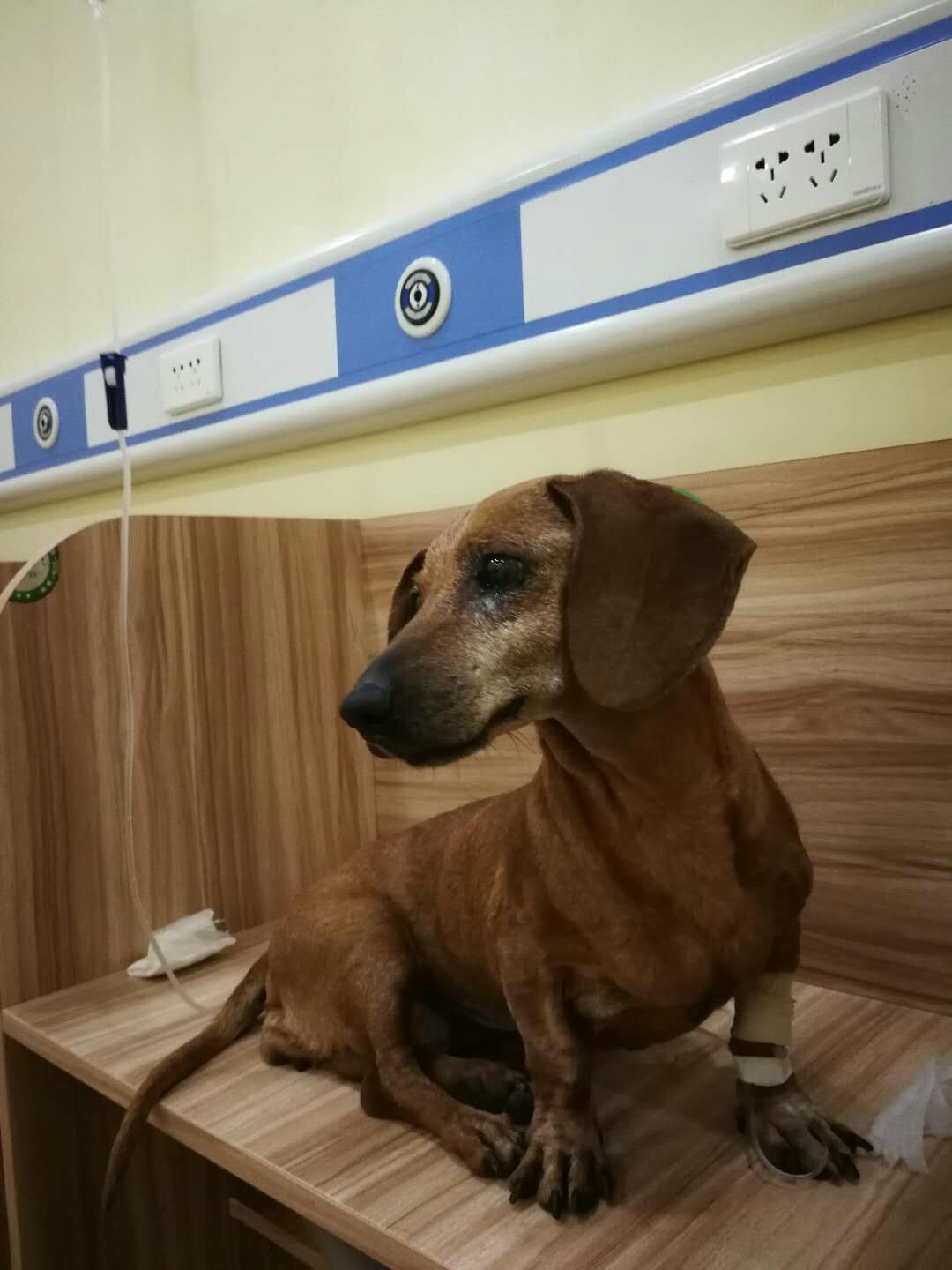 鿴ͼƬ