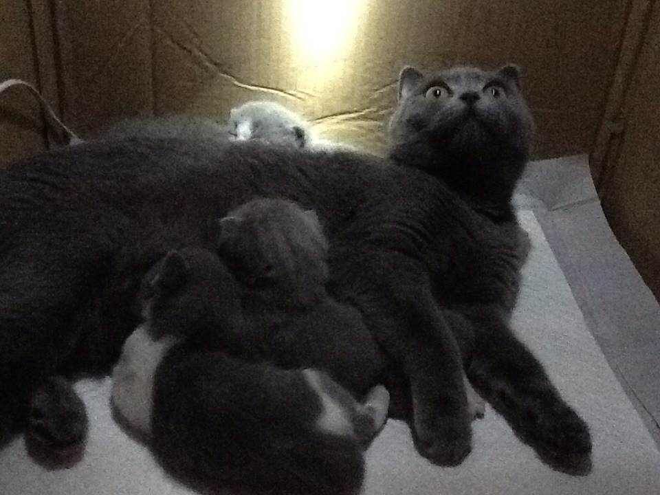 鿴ͼƬ