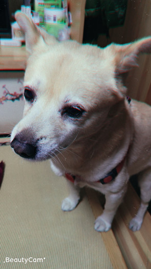 鿴ͼƬ
