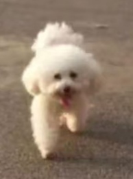 鿴ͼƬ