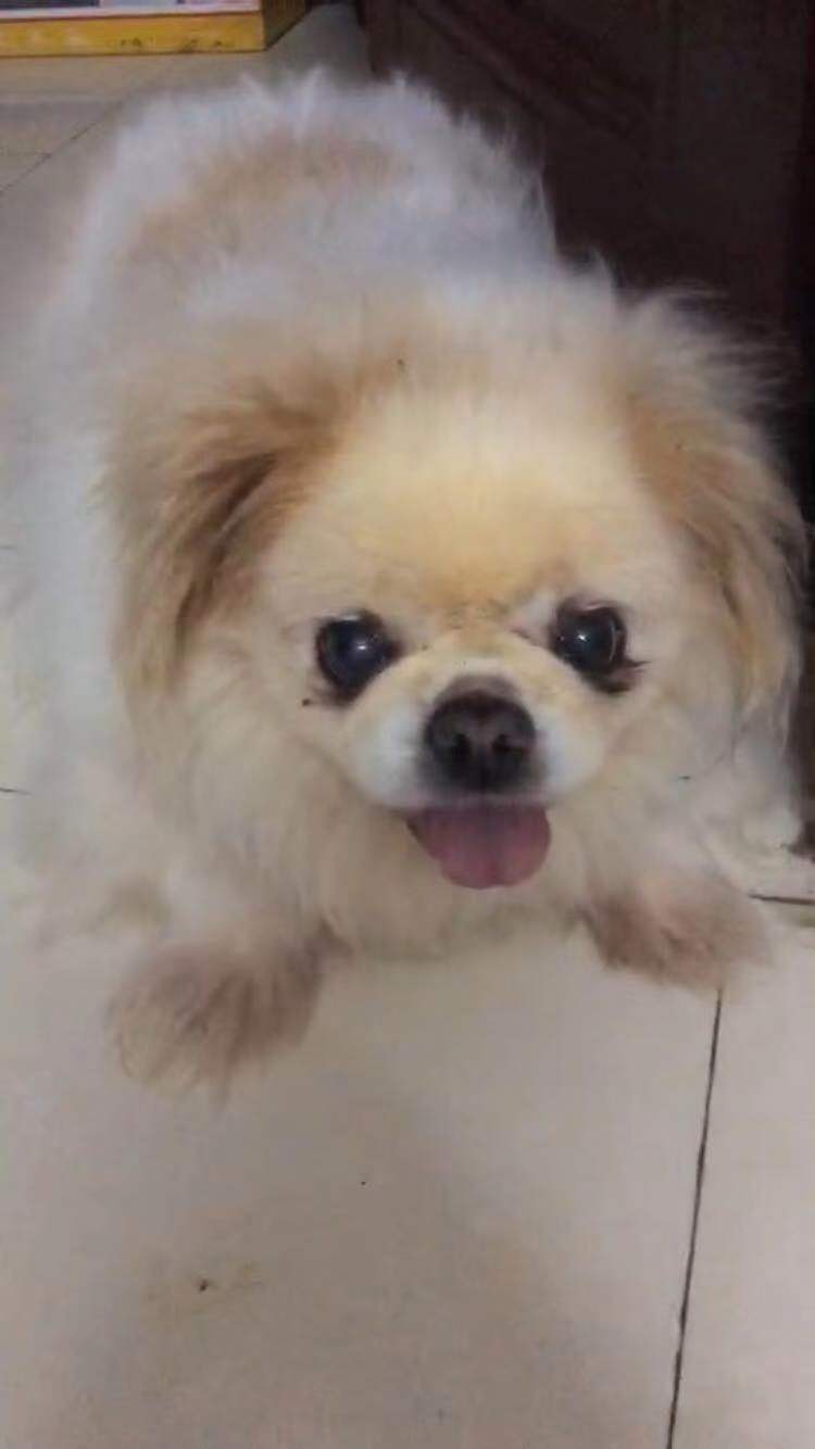 鿴ͼƬ