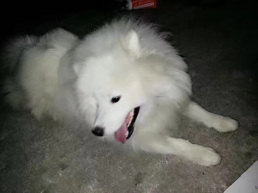 鿴ͼƬ