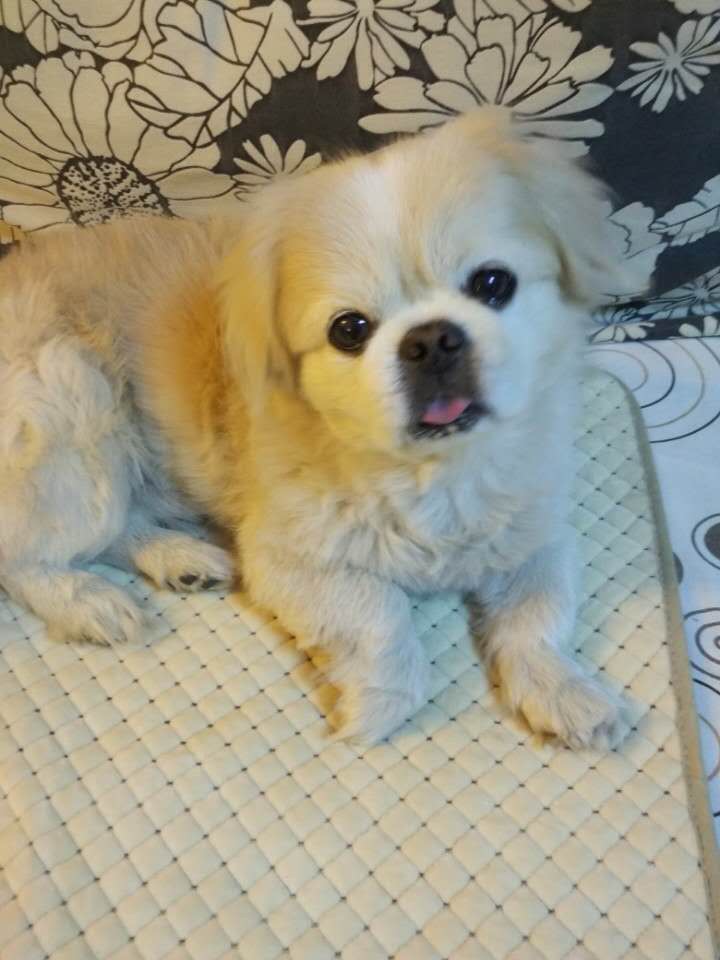鿴ͼƬ