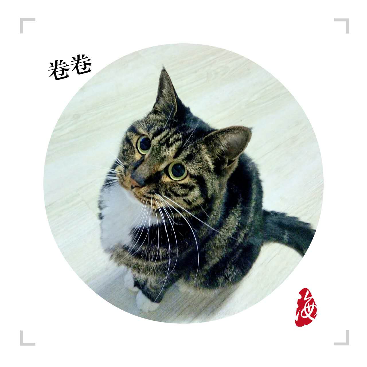 鿴ͼƬ