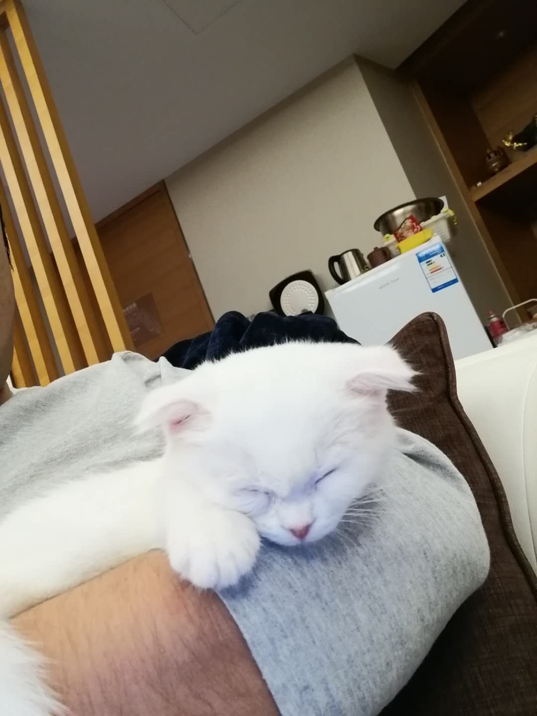 鿴ͼƬ