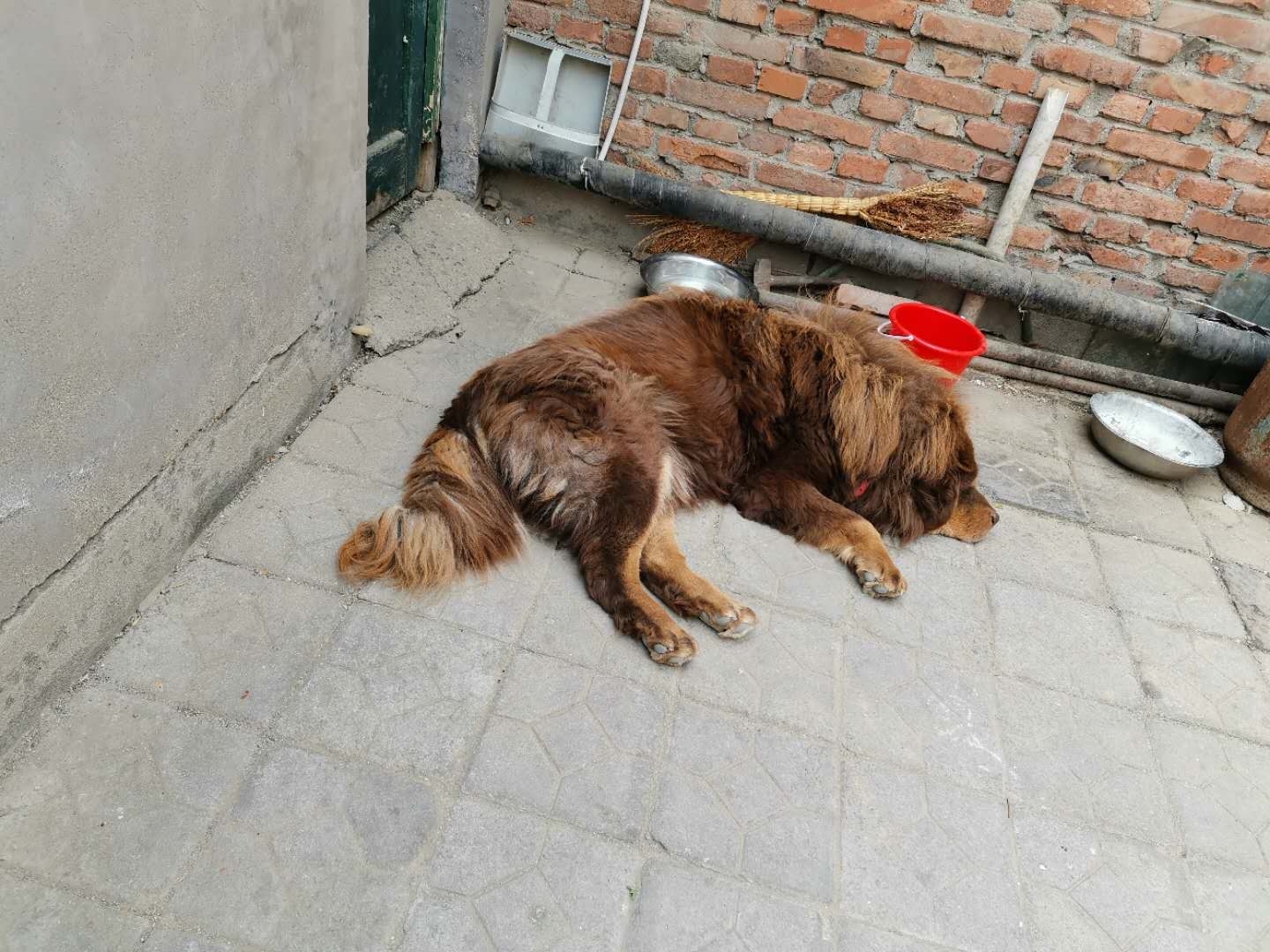 鿴ͼƬ