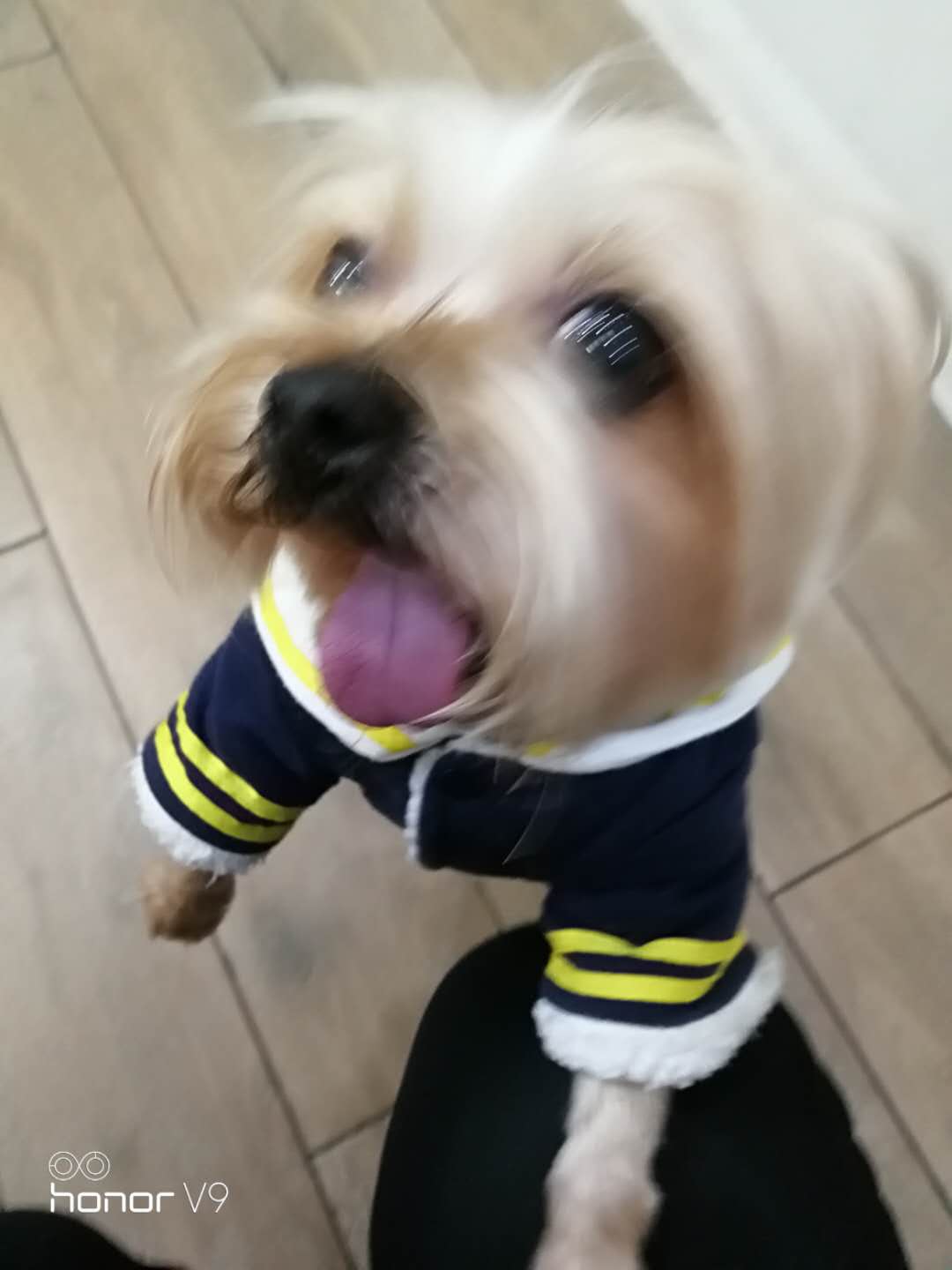 鿴ͼƬ