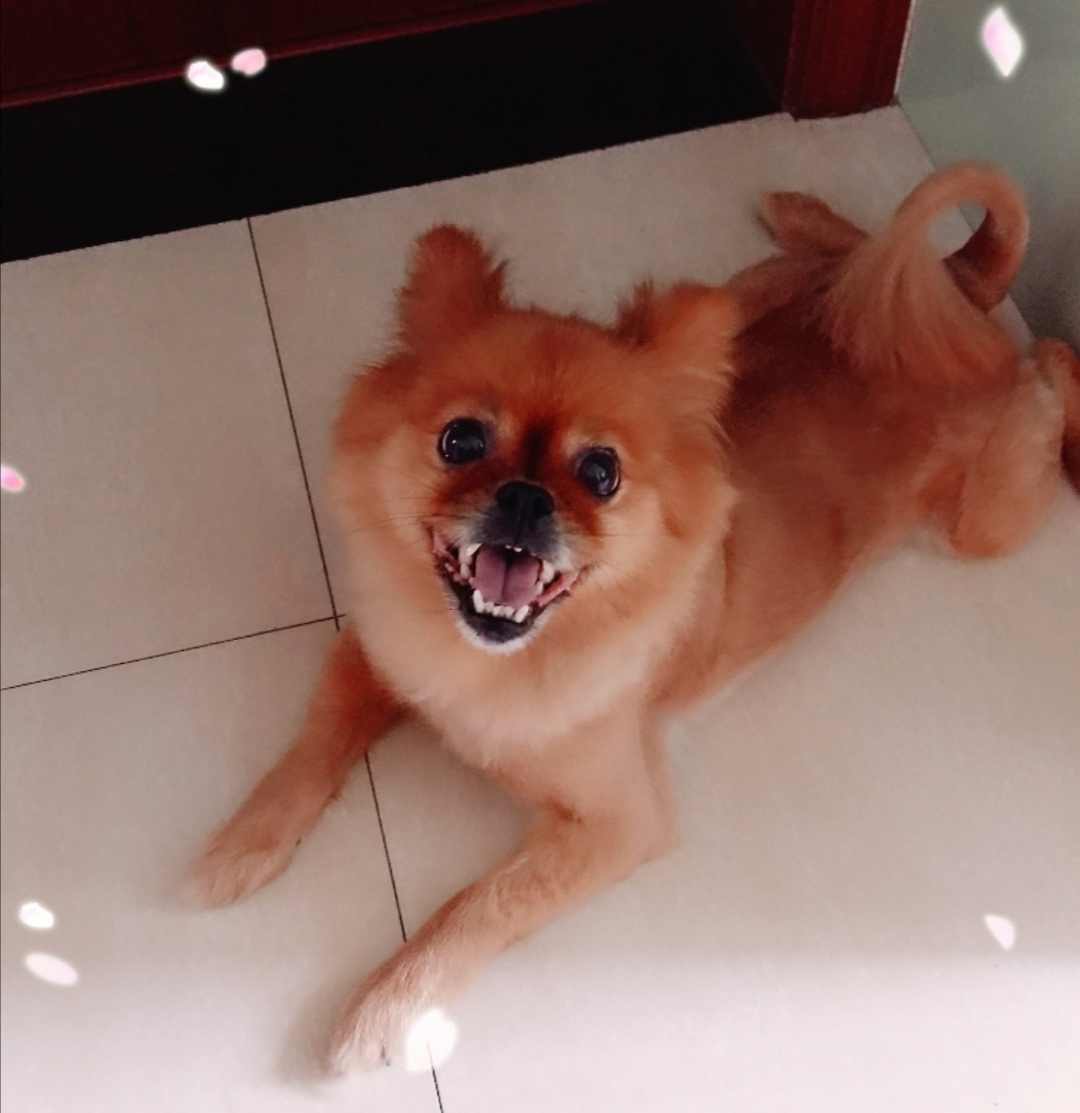 鿴ͼƬ
