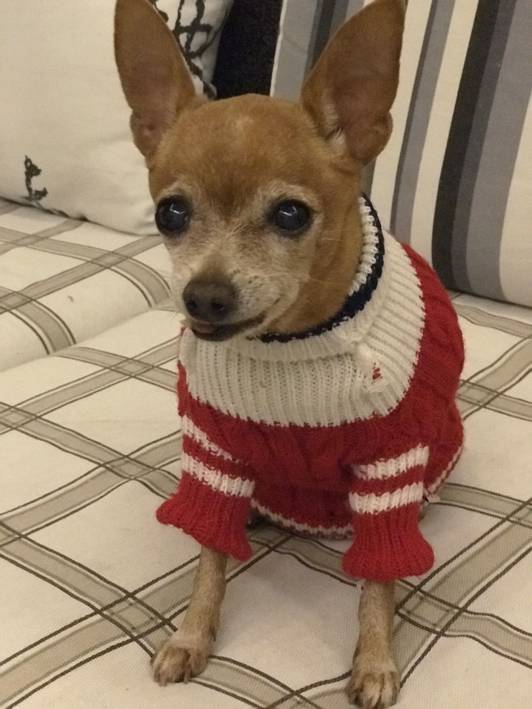 鿴ͼƬ