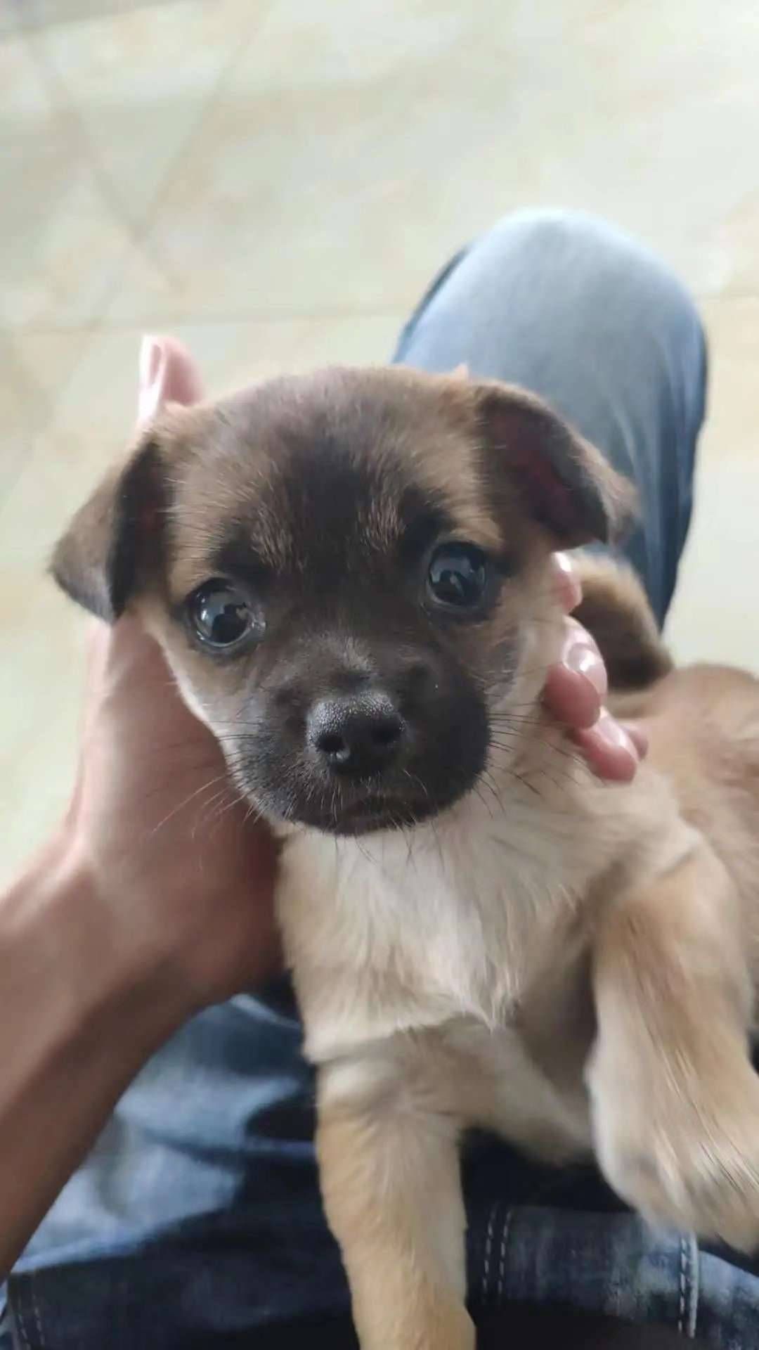 鿴ͼƬ