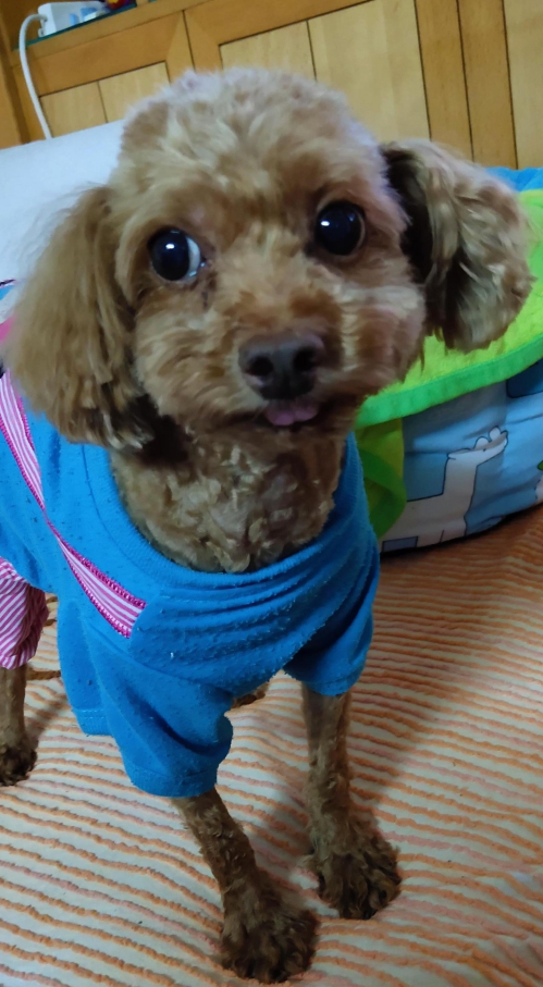 鿴ͼƬ