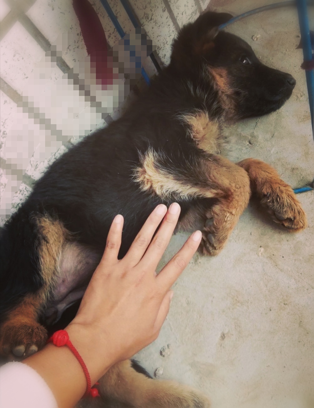 鿴ͼƬ
