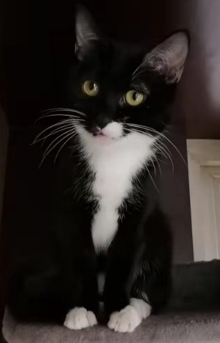 鿴ͼƬ