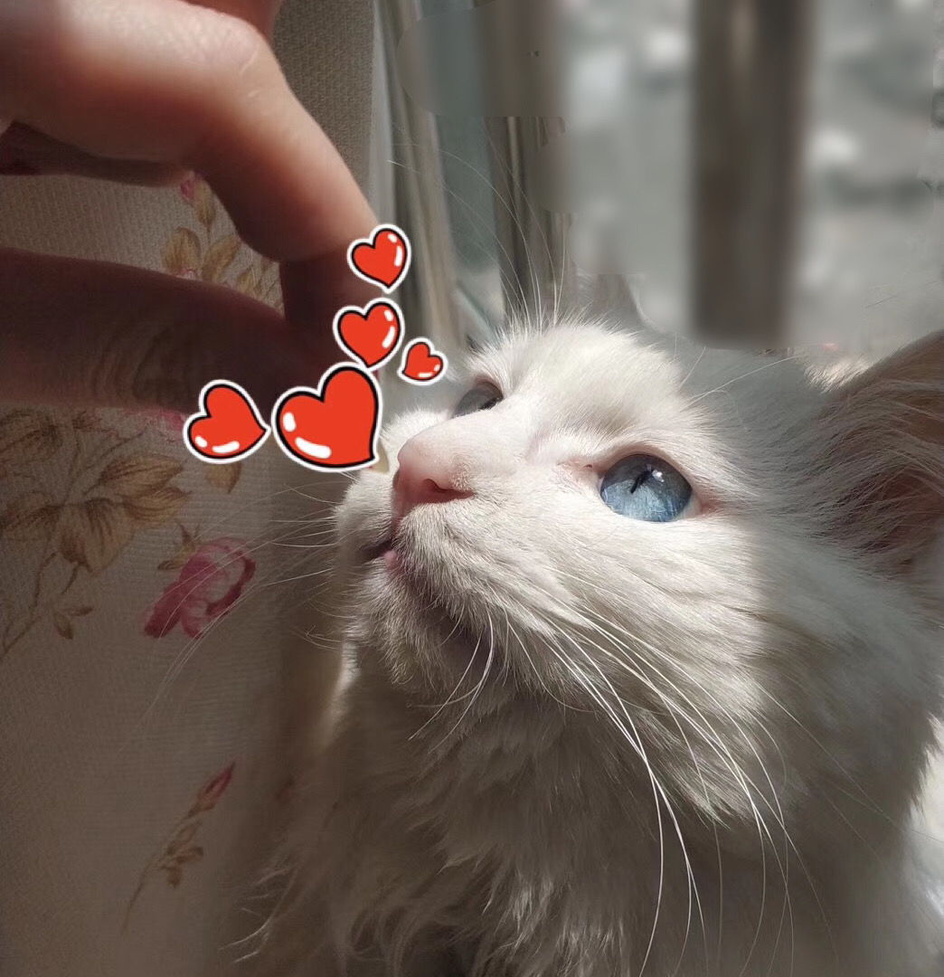 鿴ͼƬ