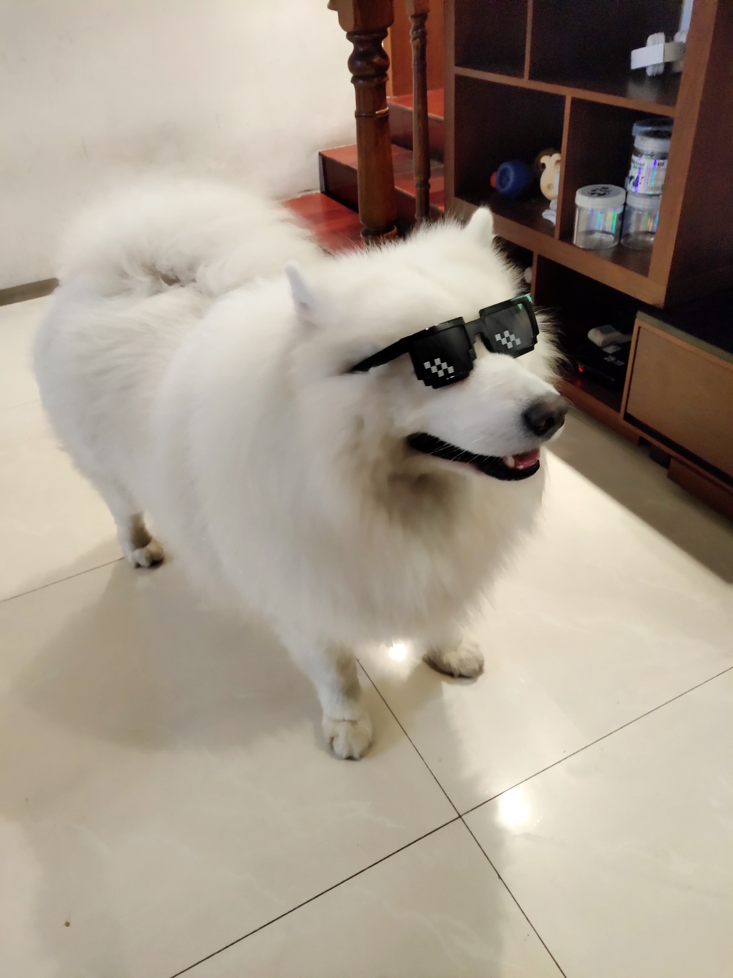 鿴ͼƬ