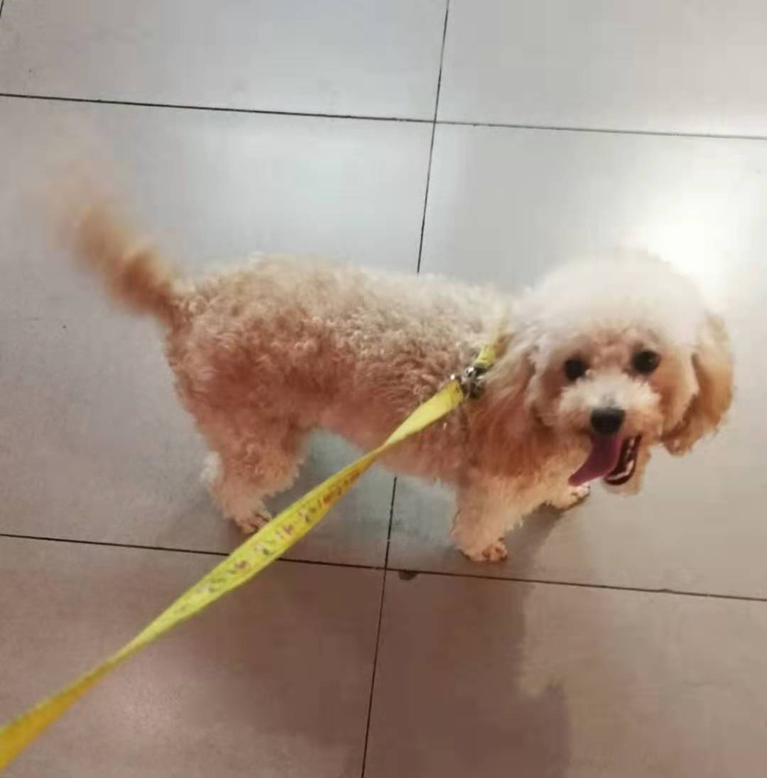 鿴ͼƬ