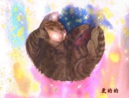 鿴ͼƬ