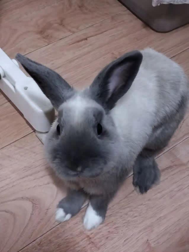 鿴ͼƬ